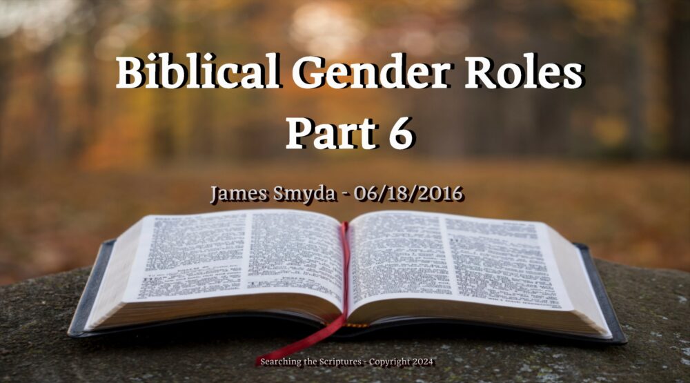 Biblical Gender Roles - Part 6 Image
