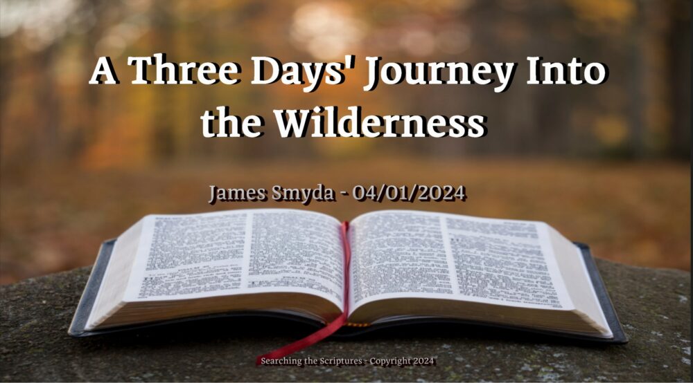 A Three Days' Journey Into The Wilderness Image