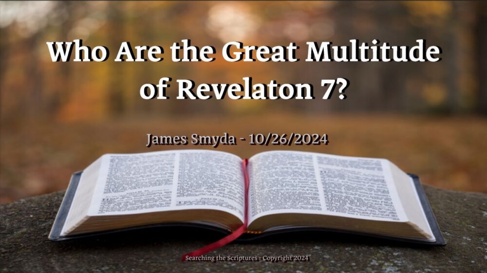 Who Are the Great Multitude of Revelation 7?