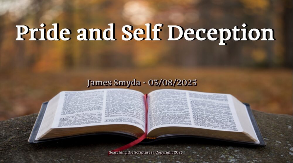 Pride and Self Deception Image