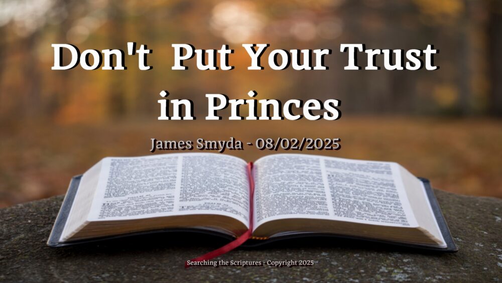 Don't Put Your Trust in Princes Image