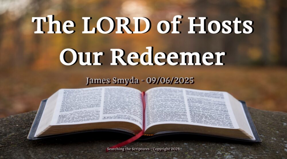 The LORD of Hosts Our Redeemer Image